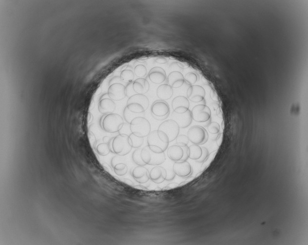 X0000112941205200910051147