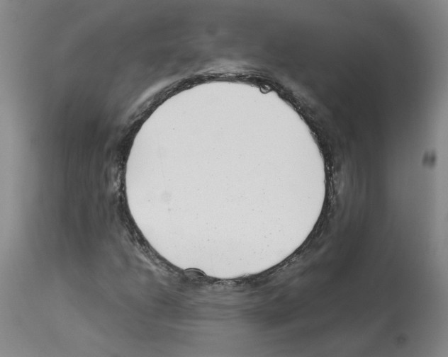 X0000112941206200910051147