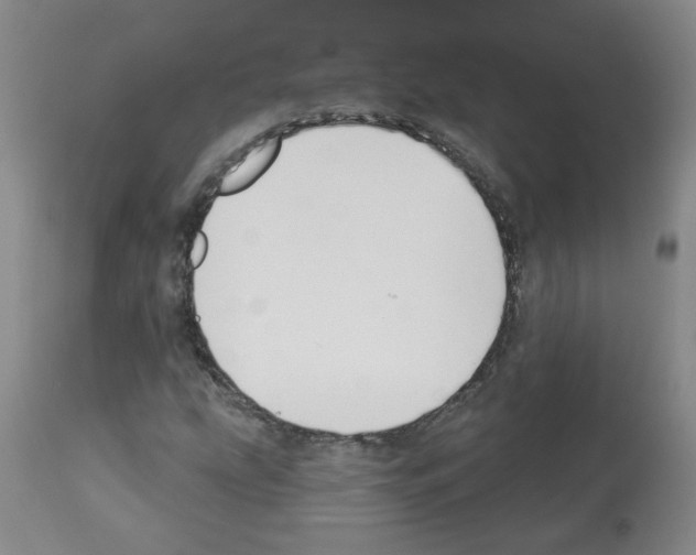 X0000112941207200910051147