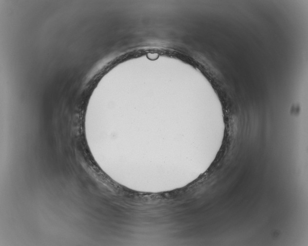 X0000112941208200910051147