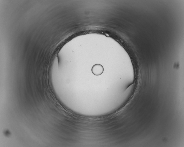 X0000112941209200910051147