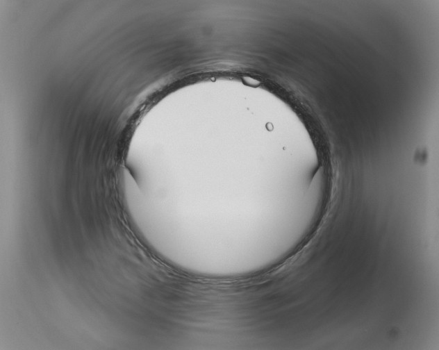 X0000112941210200910051147