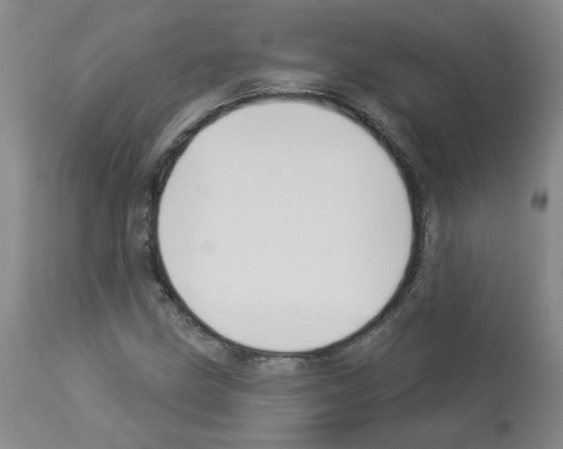 X0000112941211200910051147