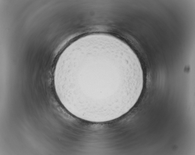 X0000112941212200910051147