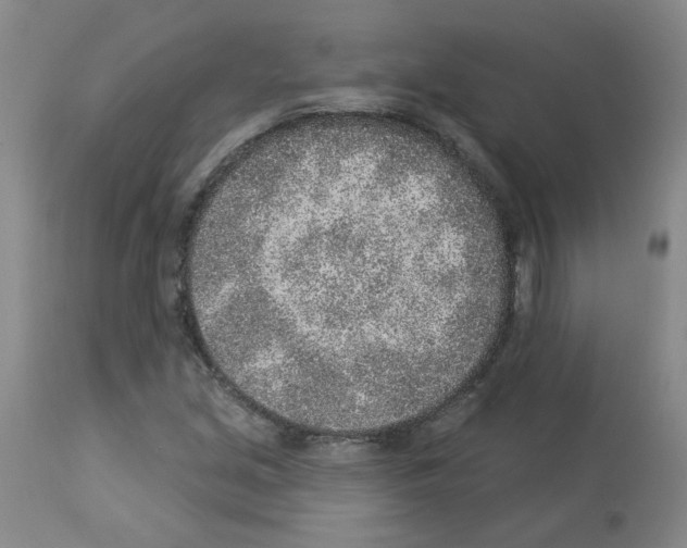 X0000112941213200910051147