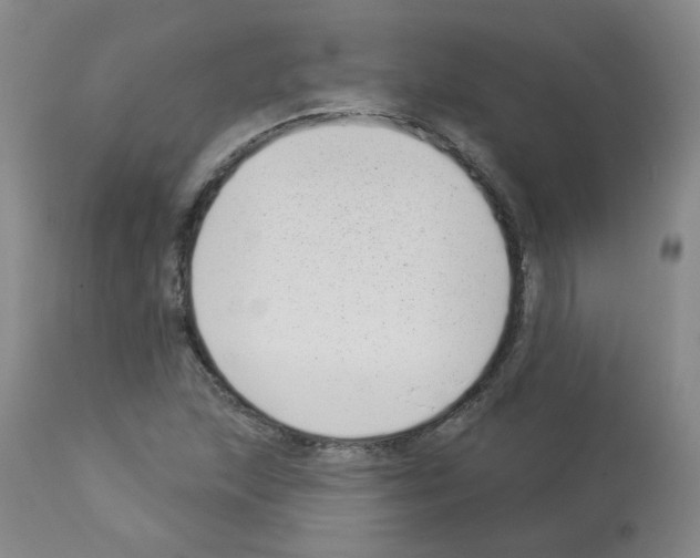 X0000112941215200910051147