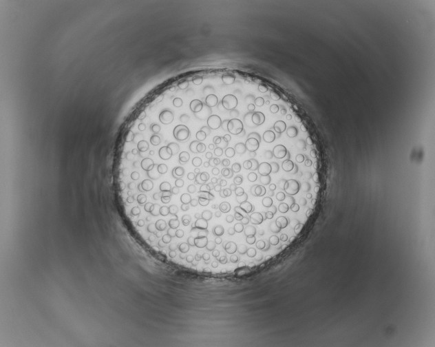 X0000112941216200910051147