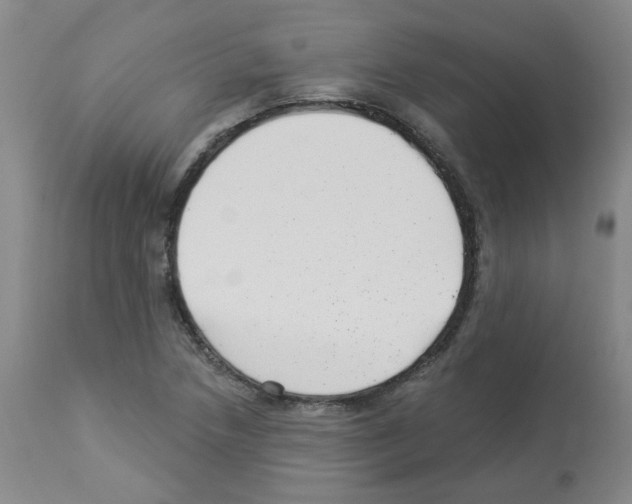 X0000112941218200910051147