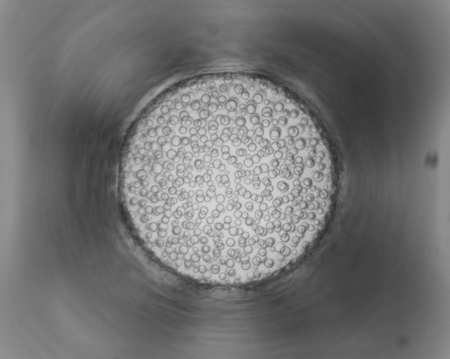 X0000112941220200910051147