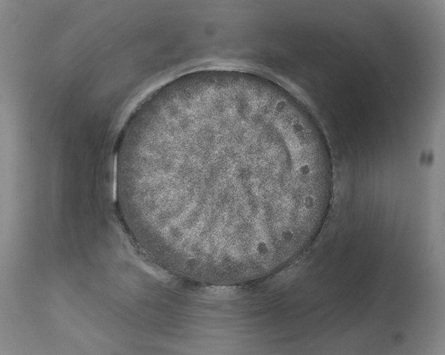 X0000112941223200910051147