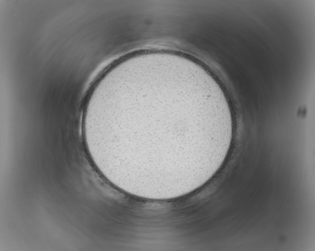 X0000112941224200910051147