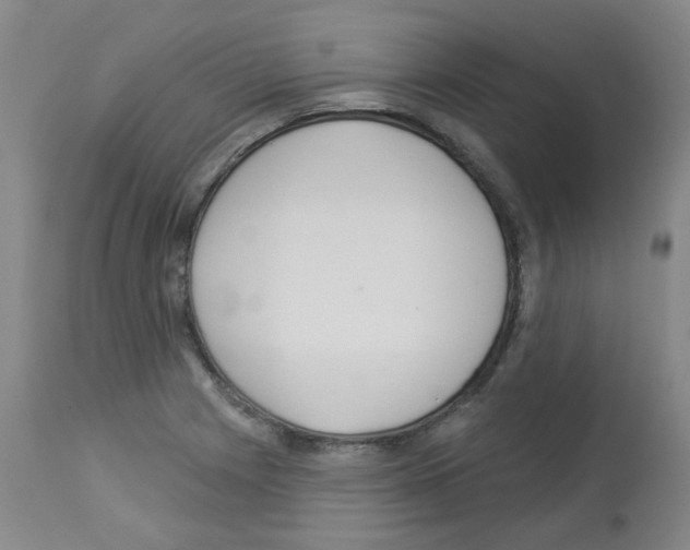 X0000112941225200910051147