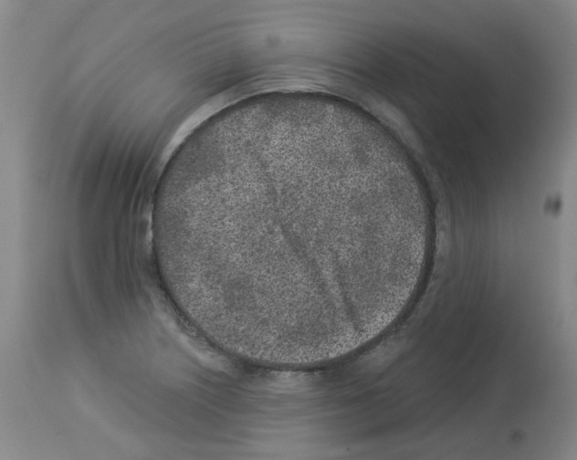 X0000112941226200910051147