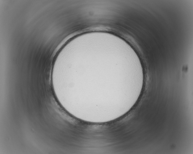 X0000112941228200910051147