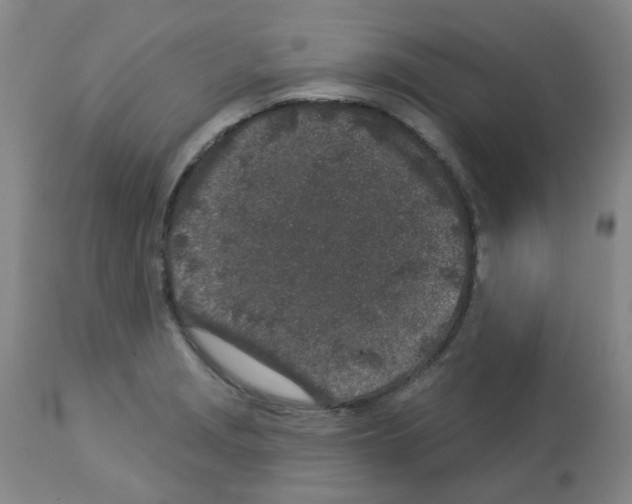 X0000112941229200910051147