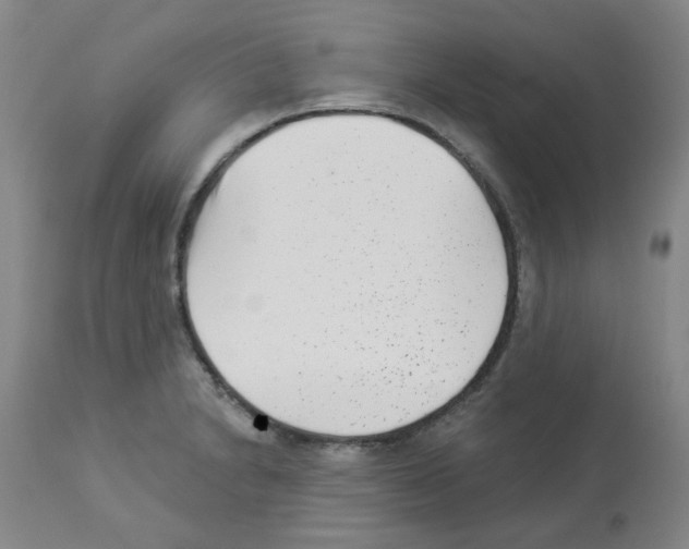 X0000112941230200910051147