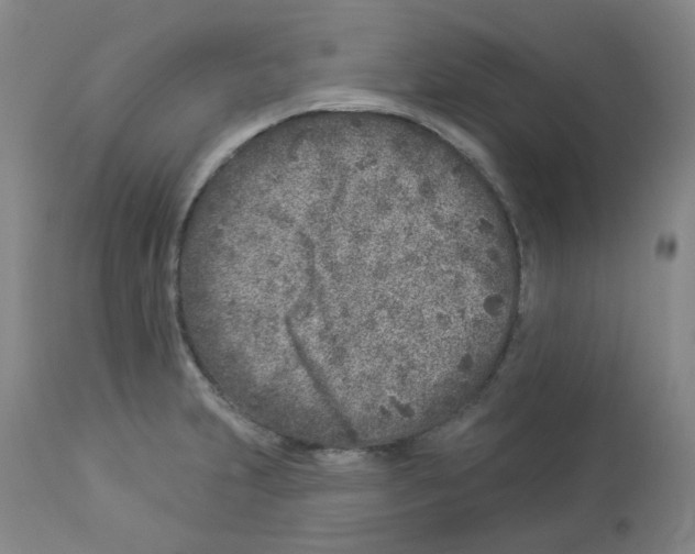 X0000112941231200910051147