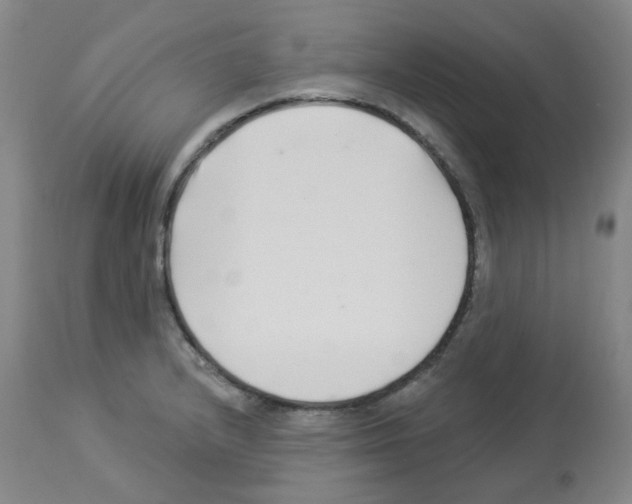 X0000112941232200910051147