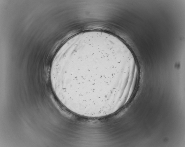 X0000112941233200910051147