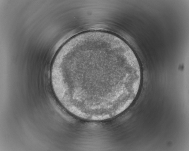 X0000112941234200910051147