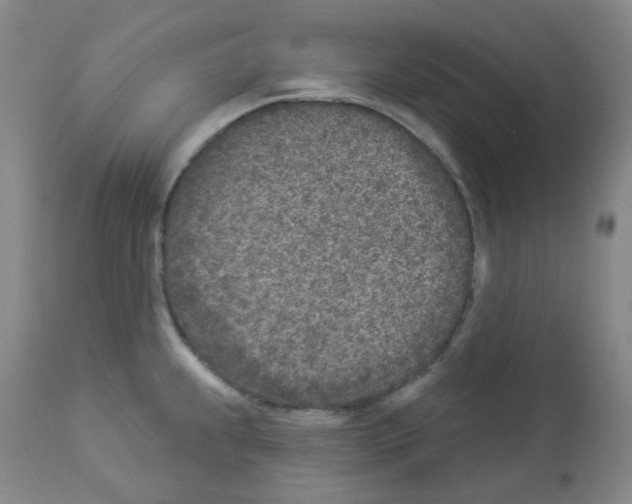 X0000112941239200910051148