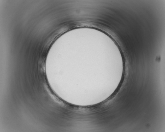 X0000112941241200910051148