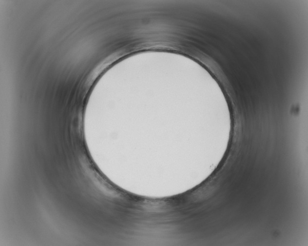 X0000112941242200910051148