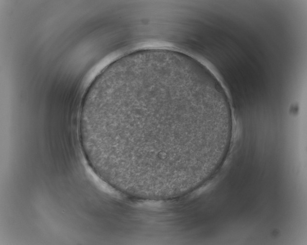 X0000112941245200910051148