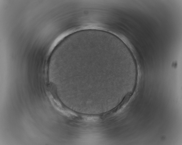 X0000112941246200910051148