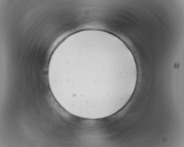 X0000112941248200910051148