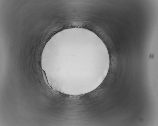 X0000112941249200910051147