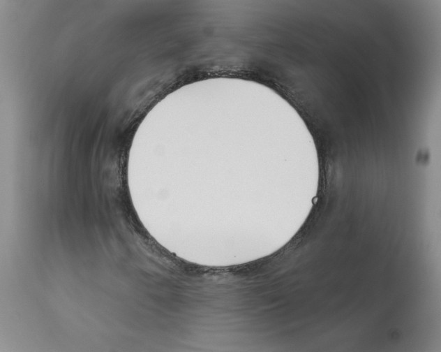 X0000112941250200910051147