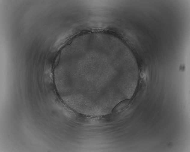 X0000112941252200910051147