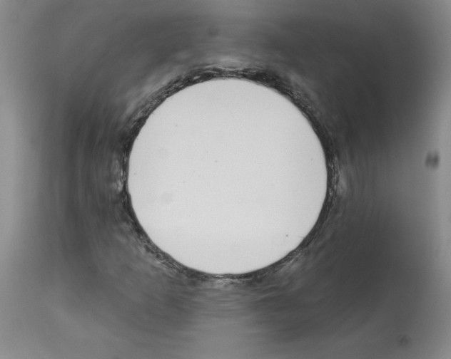 X0000112941253200910051147
