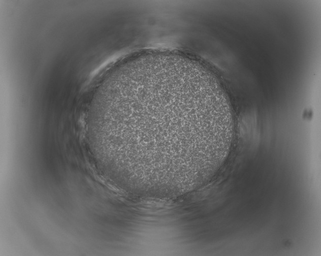 X0000112941254200910051147