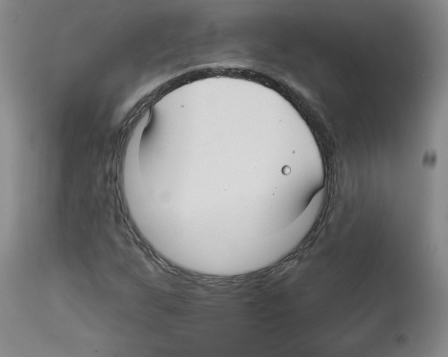 X0000112941255200910051147