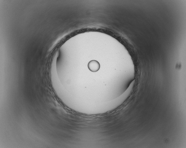 X0000112941256200910051147