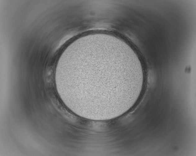 X0000112941258200910051147