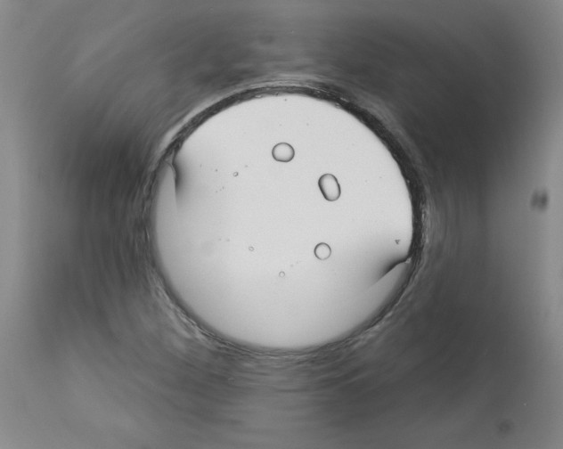 X0000112941260200910051147