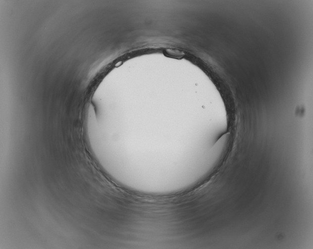 X0000112941261200910051147