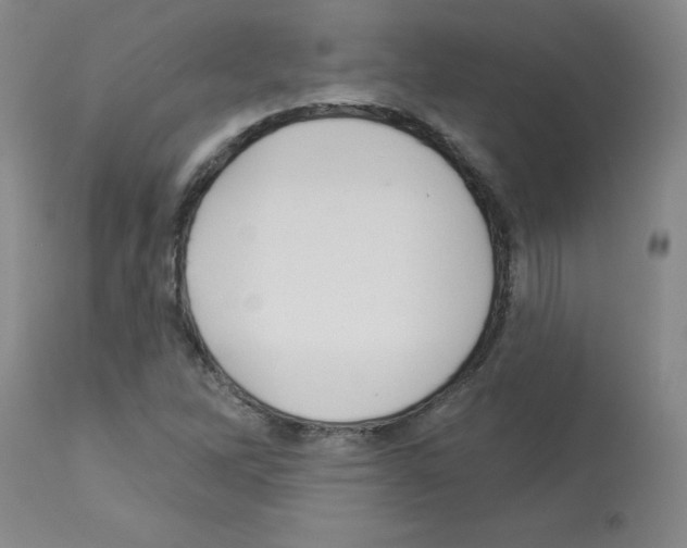 X0000112941262200910051147