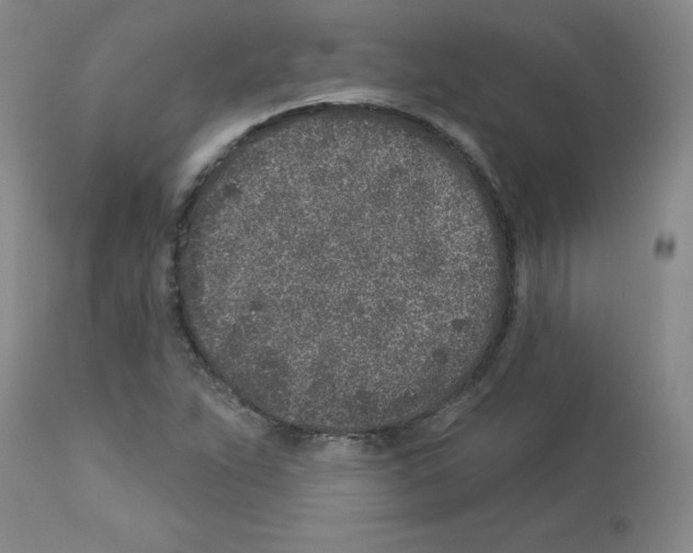 X0000112941263200910051147