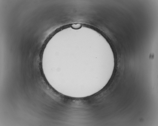 X0000112941264200910051147