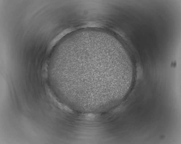 X0000112941266200910051147