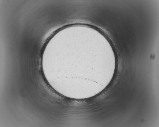 X0000112941271200910051147