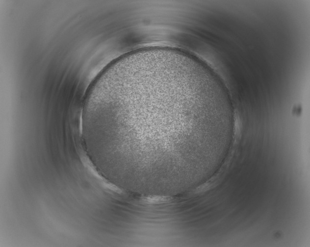 X0000112941274200910051146