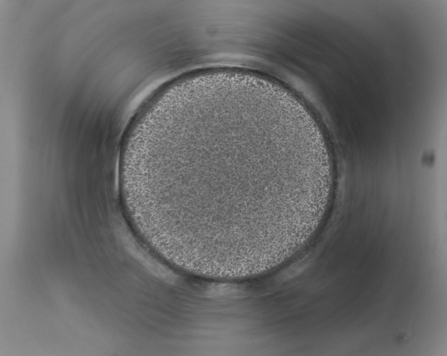 X0000112941275200910051146