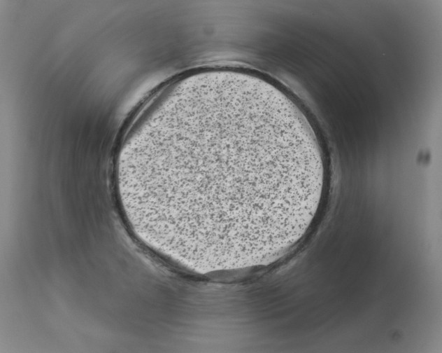 X0000112941277200910051146