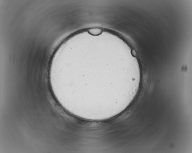 X0000112941279200910051146