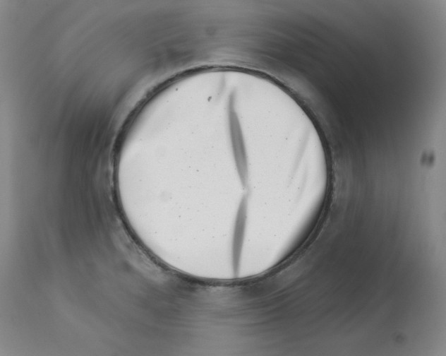 X0000112941280200910051146